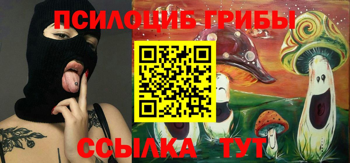 Псилоцибиновые грибы MAGIC MUSHROOMS Грязи