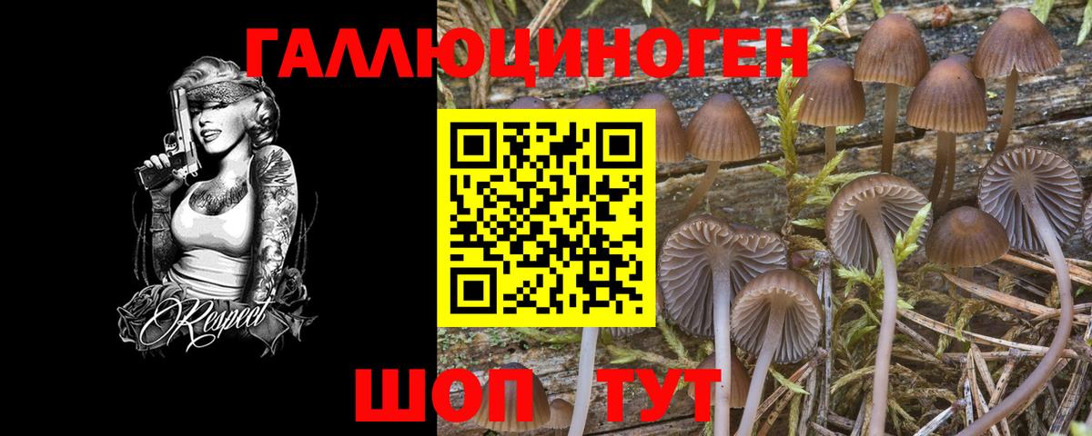 Грязи  Галлюциногенные грибы GOLDEN TEACHER  Вход с VPN 